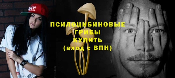а пвп мука Туринск