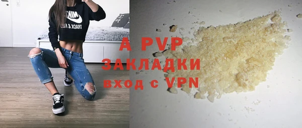 ПСИЛОЦИБИНОВЫЕ ГРИБЫ Гусев