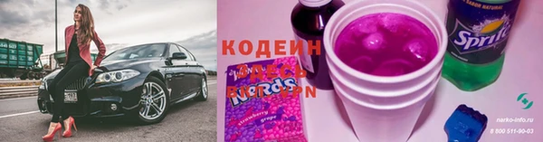 ПСИЛОЦИБИНОВЫЕ ГРИБЫ Гусев