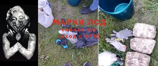 ПСИЛОЦИБИНОВЫЕ ГРИБЫ Гусев