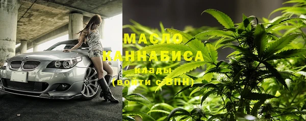 ПСИЛОЦИБИНОВЫЕ ГРИБЫ Гусев