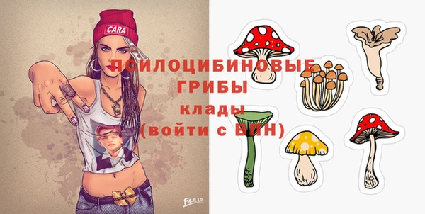 ПСИЛОЦИБИНОВЫЕ ГРИБЫ Гусев