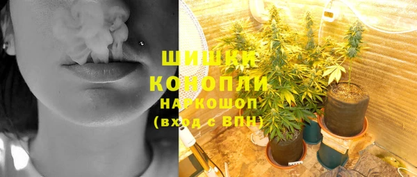 ПСИЛОЦИБИНОВЫЕ ГРИБЫ Гусев