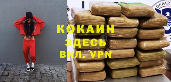 ПСИЛОЦИБИНОВЫЕ ГРИБЫ Гусев