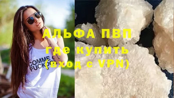 ПСИЛОЦИБИНОВЫЕ ГРИБЫ Гусев