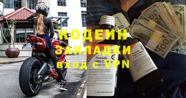 ПСИЛОЦИБИНОВЫЕ ГРИБЫ Гусев