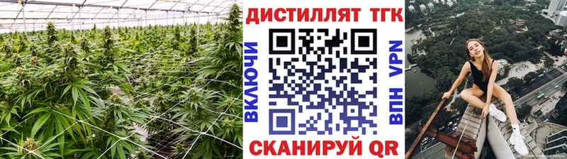ТГК Wax  MEGA онион  Нязепетровск  цены  