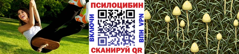 Галлюциногенные грибы мицелий ОМГ ОМГ зеркало Нязепетровск